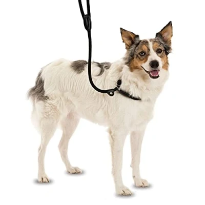 Imagen de COMPANY OF ANIMALS 3 en 1 correa Deslizante Collar, y collar ronzal. Fácil de usar, suave, duradero resistente a la intemperie. Ideal para el entrenamiento perros. (Talla L, Negro)