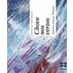 Imagen de Chove nos versos (INFANTIL E XUVENIL EDICIÓNS SINGULARES)