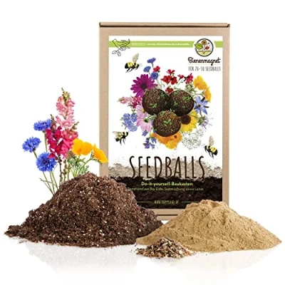Imagen de Kit de bombas semillas para un colorido pasto abejas y mariposas 20 30