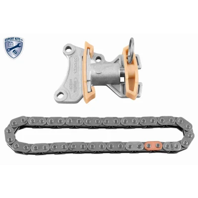 Imagen de VAICO V10 10003 BEK Juego de cadena distribución con tensor para árbol levas Símplex, cerrada EXPERT KITS + VOLKSWAGEN: GOLF 6