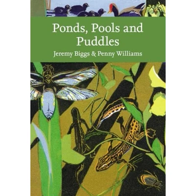 Imagen de Ponds Pools And Puddles
