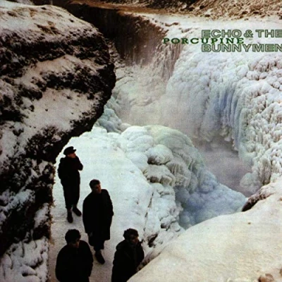 Imagen de Echo &amp; The Bunnymen Porcupine (LP) [Vinilo]