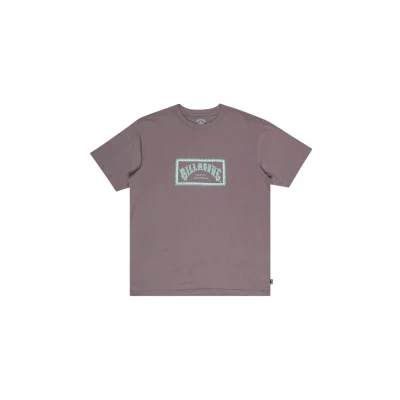 Imagen de Billabong Arch Frame SS Camiseta para Hombre (Paquete de 1)