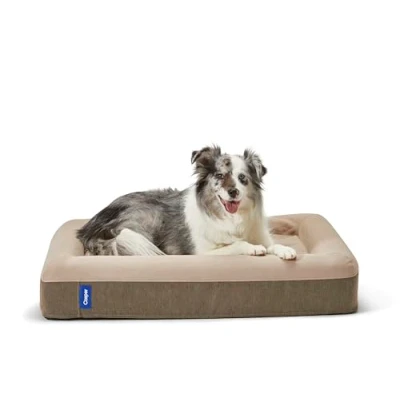 Imagen de Casper Cama para Perro, Espuma viscoelástica, Arena, 48 x 66 15 cm (L W H)