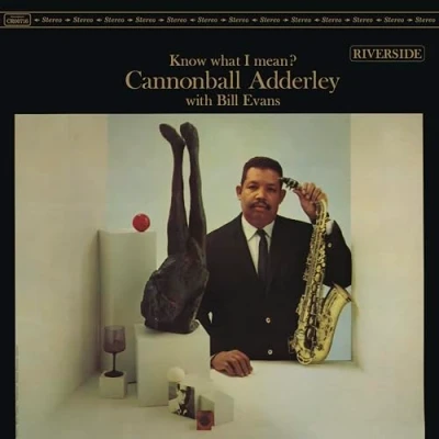 Imagen de Know What I Mean? [Vinilo]