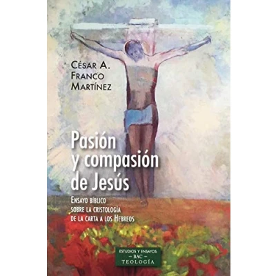 Imagen de Pasion Y Compasion de Jesus: Ensayo bíblico sobre la cristología carta a los Hebreos: 240 (ESTUDIOS ENSAYOS)