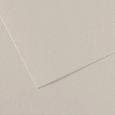 Imagen de Canson Mi Teintes Papel de Color Pulpa Teñida, 160 g/m2, Gris (Pearl Grey 120), 21x29,13, Pack 25