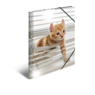 Imagen de HERMA 19337 carpeta de dibujo Animales brillante con motivo Gatos, A3, plástico resistente, impresión interior, 1 palmo
