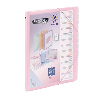 Imagen de Viquel Propysoft Organizador A4 personalizable con 12 compartimentos (cierre elástico), color rosa translúcido
