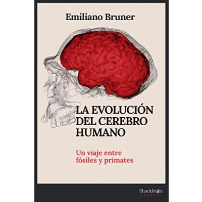 Imagen de La evolución del cerebro humano: Un viaje entre fósiles y primates (SHACKLETON DISCOVERY)