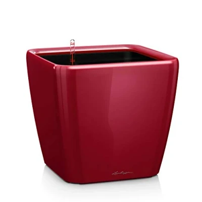 Imagen de LECHUZA Quandro Premium LS 50 Rojo Escarlata Muy Brillante 16287