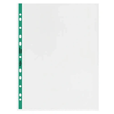 Imagen de Rexel 008772 Funda perforada reforzada (A4, 100 unidades), transparente