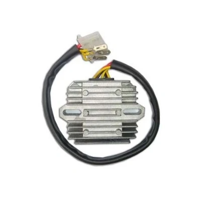 Imagen de Regulador del generador VICMA 14560