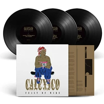 Imagen de Feast of Wire Ltd 20th Anniversary Deluxe ed.(3lp) [Vinilo]