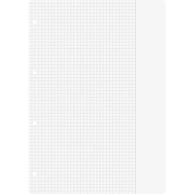Imagen de Baier &amp; Schneider Recambio para cuaderno (tamaño A4, 70 g/m², 4 agujeros, con cuadrícula, 26 líneas) 100 hojas
