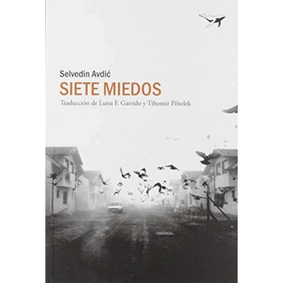 Imagen de Siete miedos: 31 (sajalín)