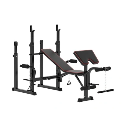 Imagen de SPORTNOW Banco de Musculación Plegable Pesas con Soportes para Barra Regulables y Respaldo Ajustable Entrenamiento Completos Cuerpo en Casa Gimnasio Negro