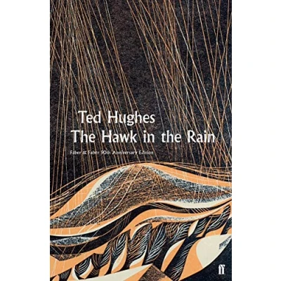 Imagen de the hawk in rain