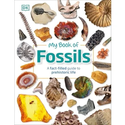Imagen de My Book Of Fossils