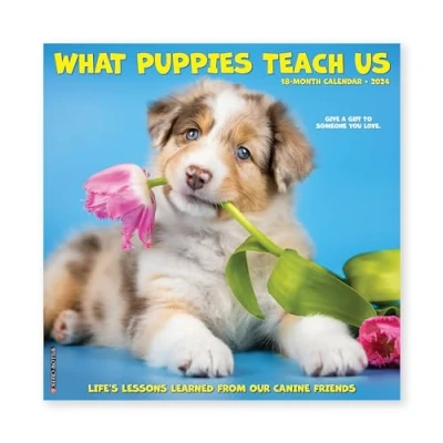 Imagen de What Puppies Teach Us 2024 12 X Wall Calendar