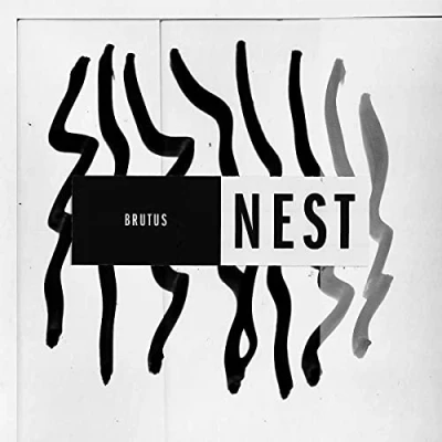 Imagen de Nest [Vinilo]