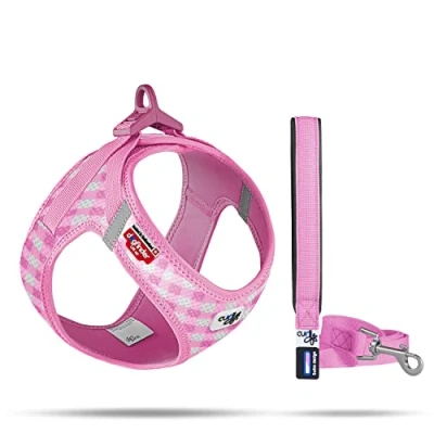 Imagen de Vest Harness curli Clasp Air Mesh Pink Caro M &amp; Leash L