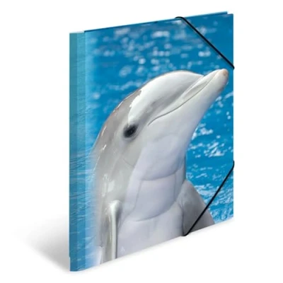 Imagen de HERMA 7141 carpeta de dibujo Animales con motivo Delfines, A4, plástico resistente, impresión interior, 1 palmo