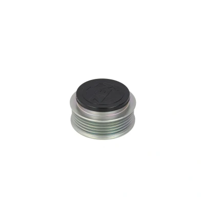 Imagen de MAGNETI MARELLI 940113010120 Polea, alternador