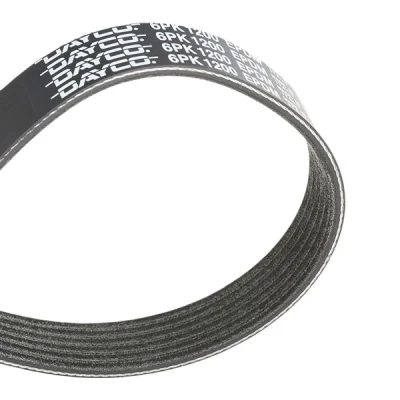 Imagen de DAYCO 6PK1200 Correa trapecial poli V 1200,0 6 RENAULT: CLIO 3, Kangoo I, MEGANE 3 Coupe, PEUGEOT: 206 Hatchback, 406 Berlina, SW norauto, oscaro,