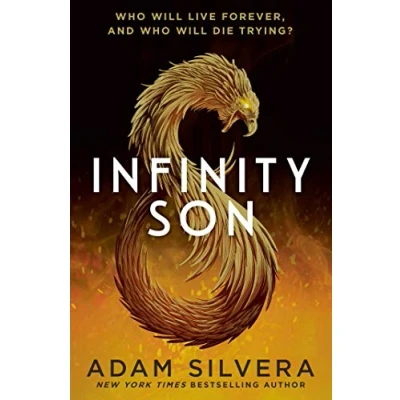 Imagen de Infinity Son (infinity Cycle 1)