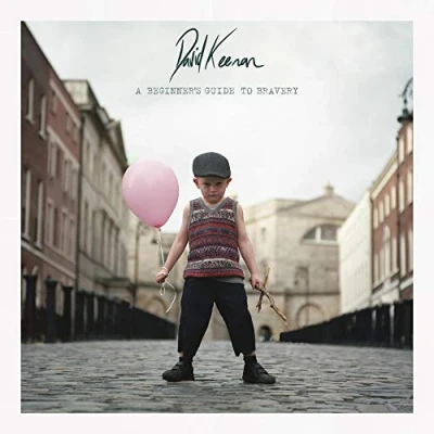 Imagen de A Beginner&#039;s Guide To Bravery [Vinilo]