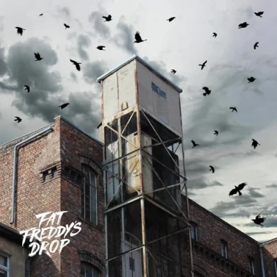 Imagen de Blackbird Returns [Vinilo]