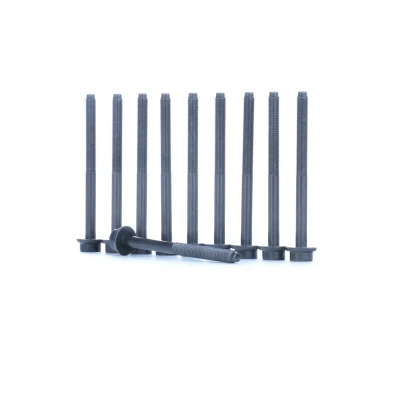 Imagen de REINZ 14 32277 01 Juego de Tornillos Culata dentado interior VOLKSWAGEN: GOLF 5, Jetta 3, 6, SEAT: Leon II Hatchback, AUDI: A3 Sportback