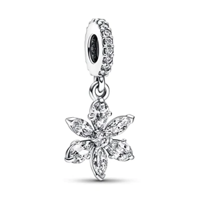 Imagen de Pandora Timeless Mujeres Charm Plata 792382C01