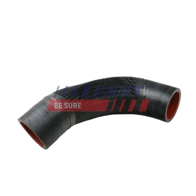 Imagen de Tubo flexible de aire sobrealimentación FAST FT61793