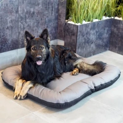 Imagen de 4L Textil Ella Cama de Perro Grande Piel Sintetica para Perros Color y tamaño elegibles M a XL (M 90x70 cm, Gris)