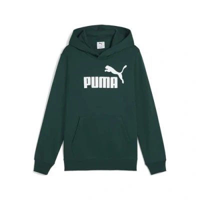 Imagen de Sudadera con capucha ESS logotipo n.º 1 juvenil