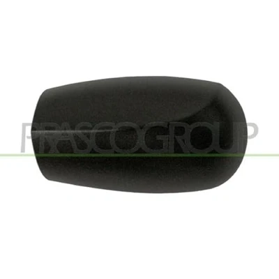 Imagen de PRASCO FT1337404 Cubierta, retrovisor exterior izquierda negro