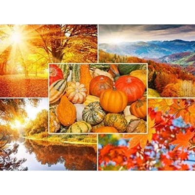 Imagen de Edition Colibri Paisajes otoñales: juego de 20 tarjetas postales (5 diseños x 4 unidades) para postcrossing y escritores (10695 99)