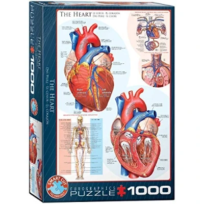 Imagen de Eurographics Anne Stokes Bezaubert No Aplica Puzzles, Multicolor (Eurographics 6000 5511)
