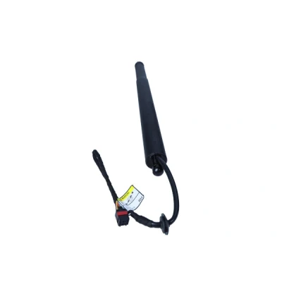 Imagen de MAXGEAR 12 2550 Muelle a gas, anaquel, (maletero. comp. carga)