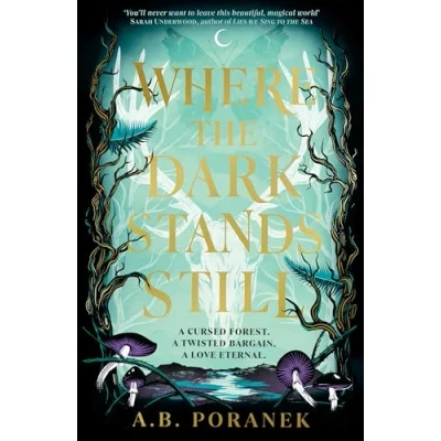 Imagen de Where The Dark Stands Still