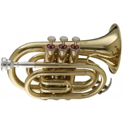 Imagen de Stagg WS TR245 BB Trompeta de bolsillo con funda