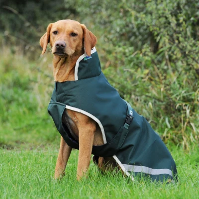 Imagen de Bucas Greenline Dog Blanket