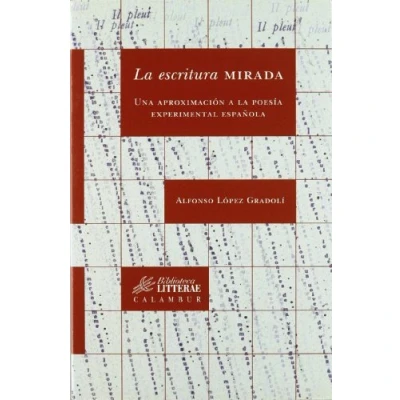 Imagen de La Escritura Mirada: Una Aproximacion A Poesia Experimental Es Paño