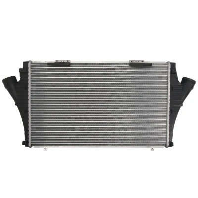 Imagen de Intercooler THERMOTEC DAX025TT
