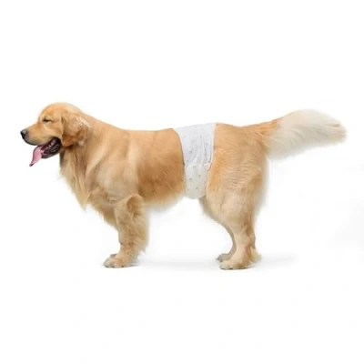 Imagen de Amazon Basics Pañales Desechables para Perros Macho, S, Paquete de 50, Color Blanco