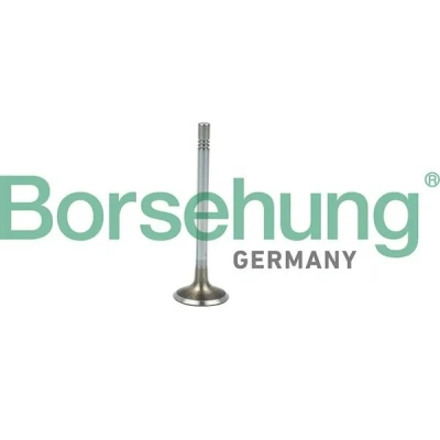 Imagen de Borsehung B19021 Válvula de Admisión VOLKSWAGEN: GOLF 6, Crafter 30 35 Bus, Passat B7 Variant, AUDI: A5 B8 Sportback, A3 Cabrio