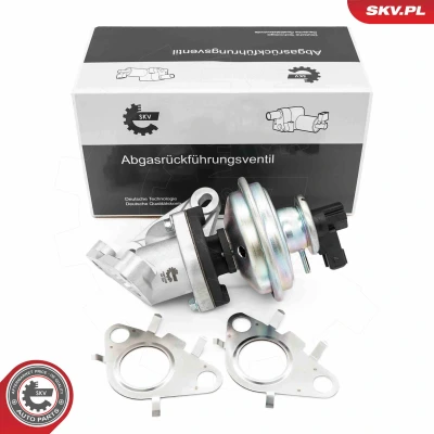 Imagen de Válvula EGR ESEN SKV 14SKV285