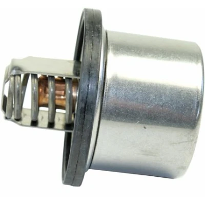 Imagen de METZGER 4006269 Termostato, refrigerante 79 con junta BMW: 5 Berlina, Touring